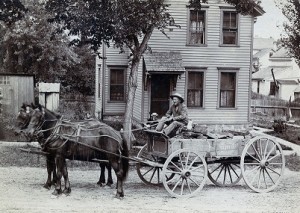 Man Driving Wagon